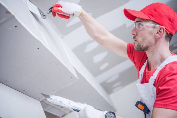 Best Ceiling Drywall Installation  in Grand Bay, AL